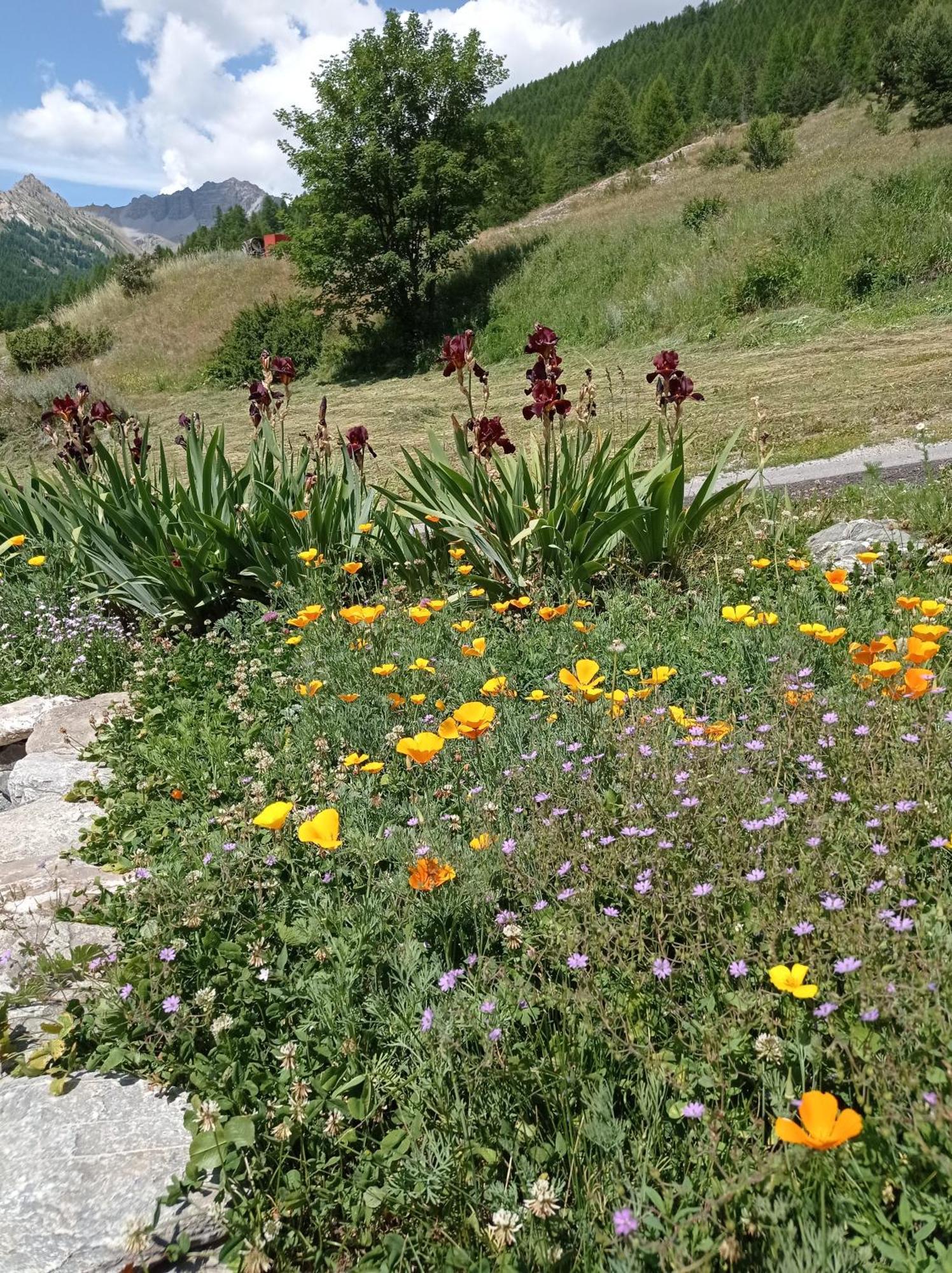 Hameau De Souliers - Queyras Apartment